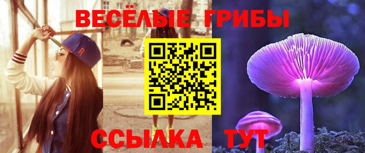 Мичуринск  Псилоцибиновые грибы GOLDEN TEACHER  Вход с VPN 