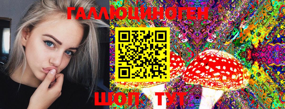 Галлюциногенные грибы Psilocybe Мичуринск